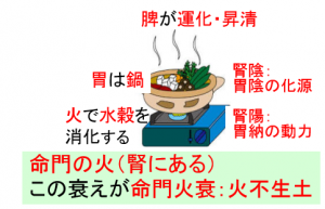 ステロイドの問題点