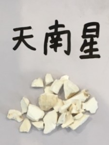 天南星