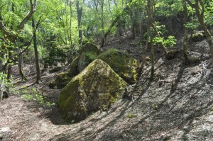 大野山の岩巡り