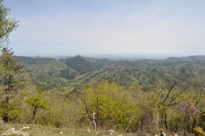 大野山からの眺め