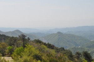 大野山からの眺め