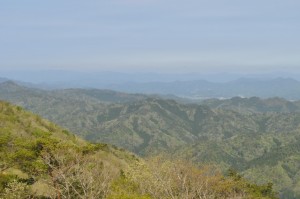 大野山からの眺め