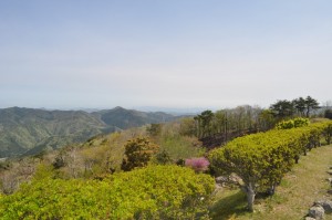 大野山からの眺め