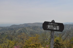 大野山