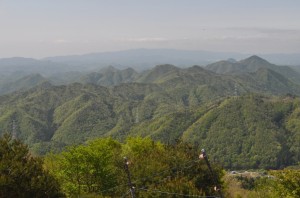 大野山からの眺め