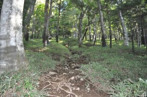 男体山の登山道