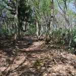 ひるがの高原コース