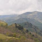 ビーナスライン