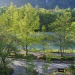 ケショウヤナギ