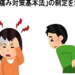 慢性の痛み（難治性疼痛）対策基本法（仮称）」の制定を