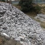 貝殻の山